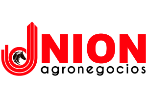 Union